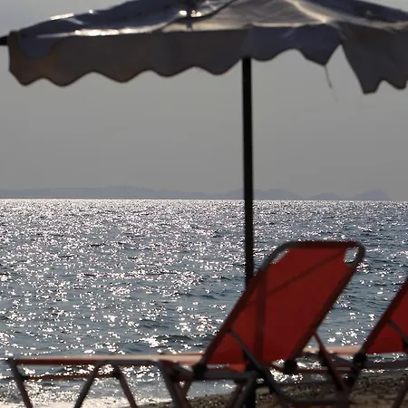 Stella Κρυοπηγή